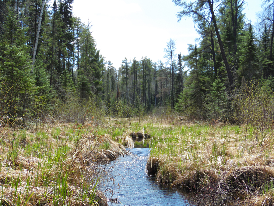 Slowfoot Creek in the BWCA